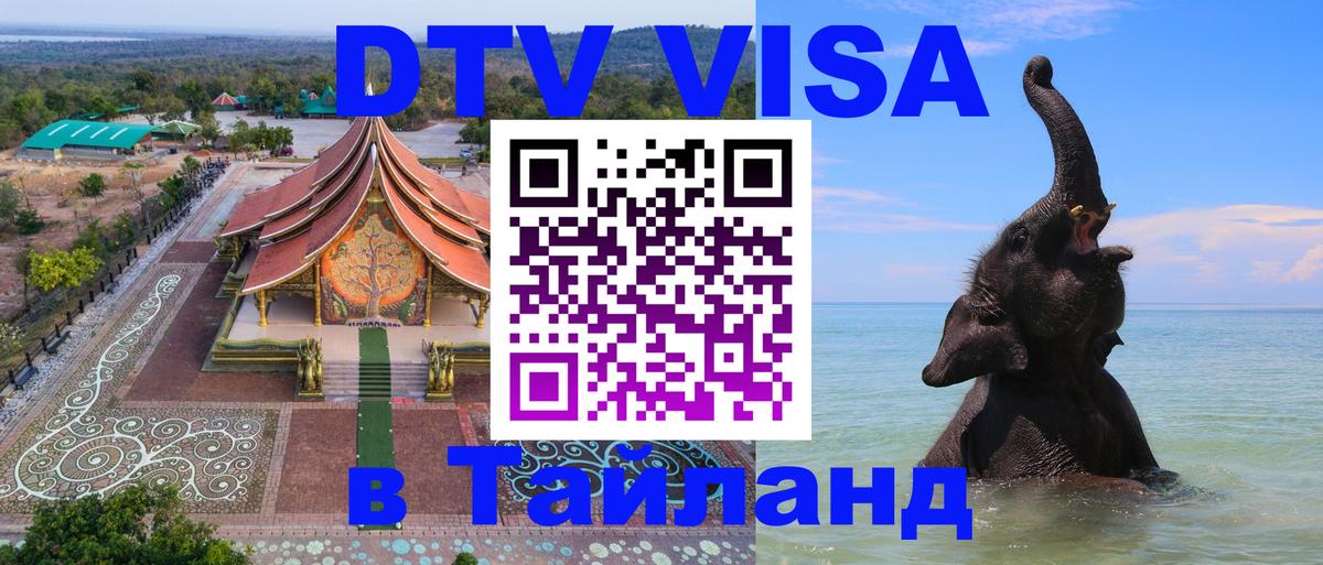 Оформление DTV визы под ключ: стоимость и тарифы, только загранпаспорт - 04.10.2025 
